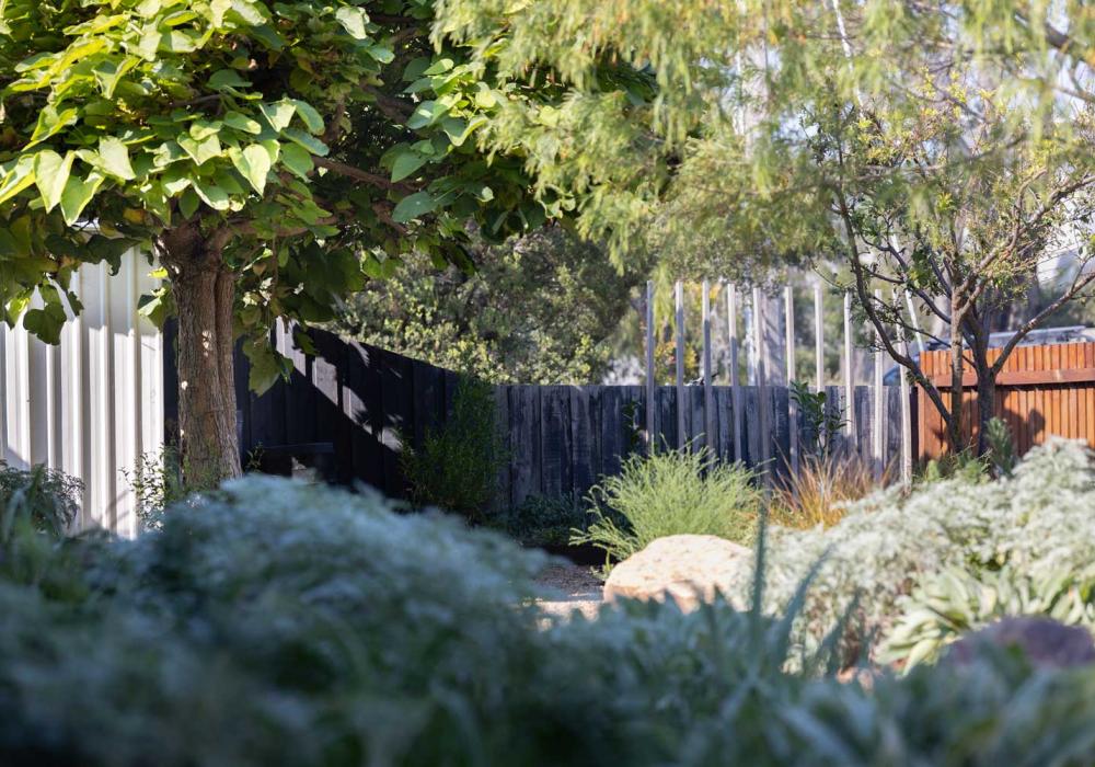 Landscape design in Barwon Heads for contemporary coastal living